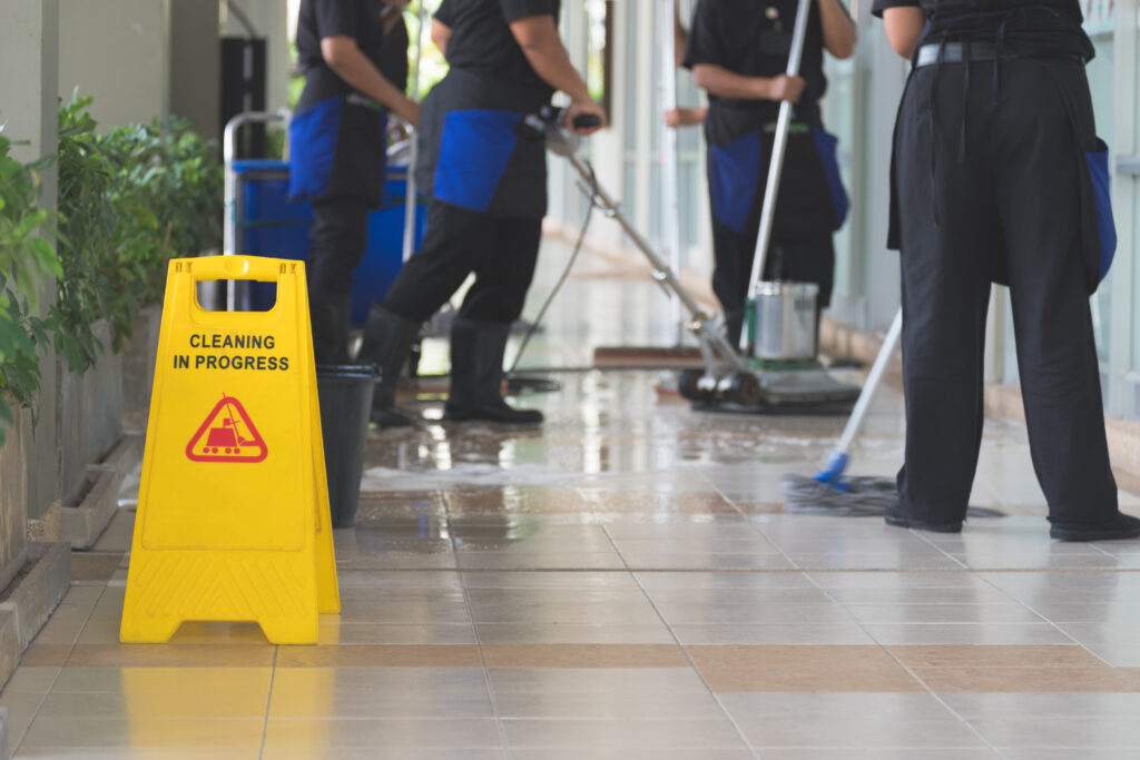 Professional cleaning services