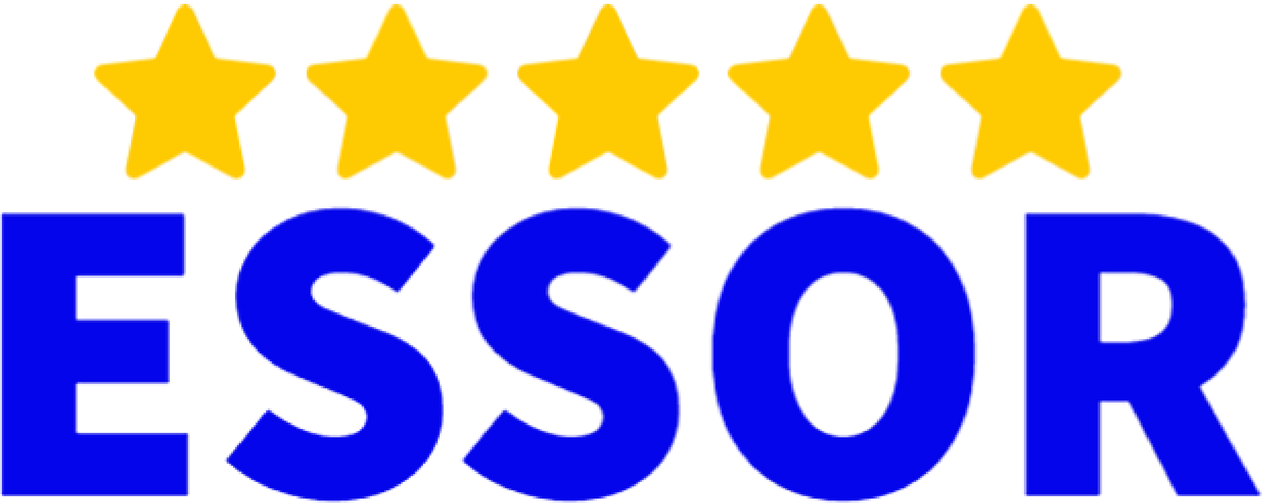 Essor Gestion Logo